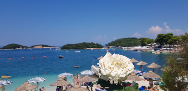 Scenic view of sea against blue sky