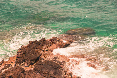 High angle view of rock in sea