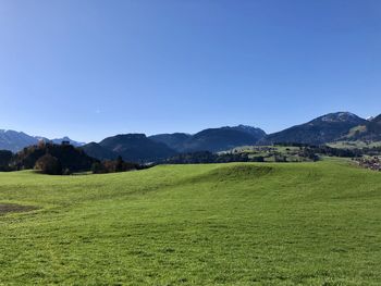 Scenic view of field against clear blue sky