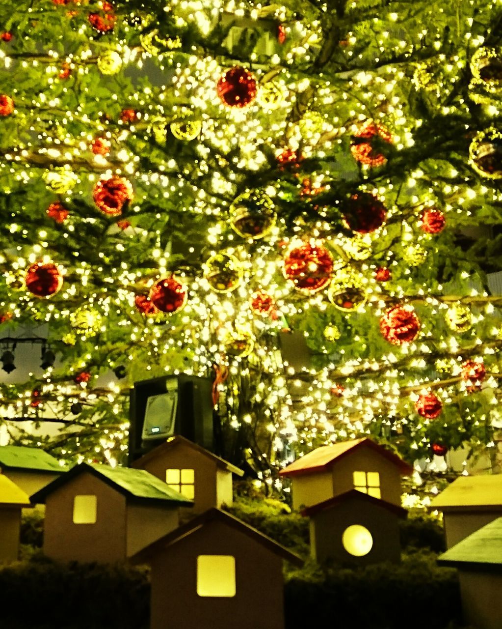 low angle view, building exterior, growth, tree, architecture, built structure, branch, flower, hanging, red, freshness, lighting equipment, nature, decoration, no people, outdoors, house, plant, day, lantern