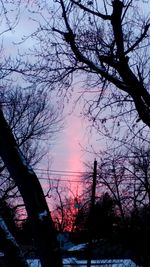 Silhouette tree against sky during sunset