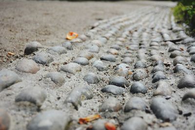 Close-up of stones on sand