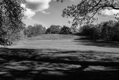 Scenic view of trees on field against sky