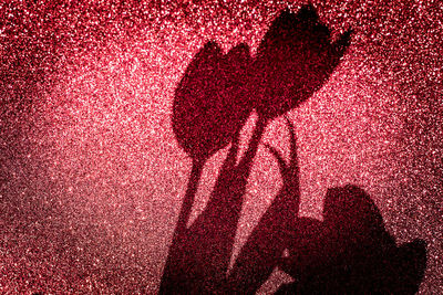 Low section of silhouette people on red shadow