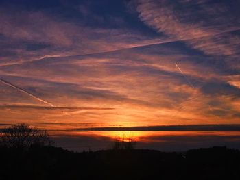 Silhouette trees against sky during sunset