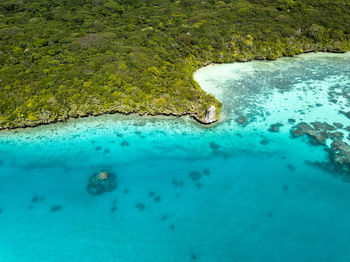 High angle view of swimming underwater