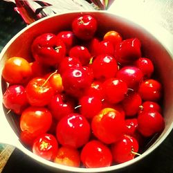 Close-up of red tomatoes