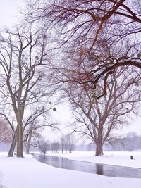 Bare trees on snow covered landscape