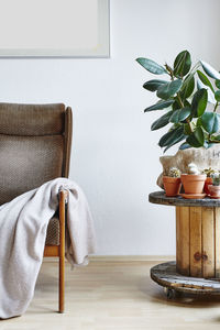 Potted plant on table at home