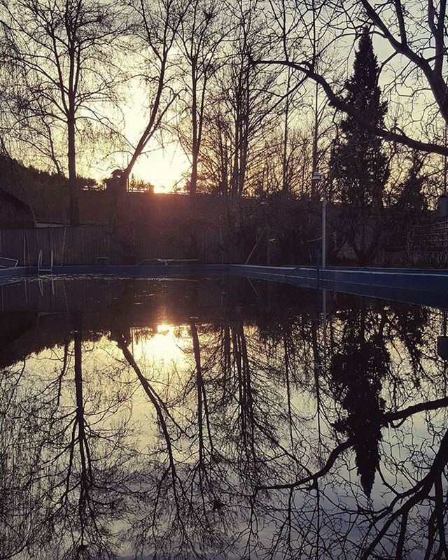 water, sunset, reflection, tree, sun, lake, silhouette, bare tree, branch, tranquility, tranquil scene, beauty in nature, scenics, nature, sunlight, river, sky, idyllic, orange color, outdoors