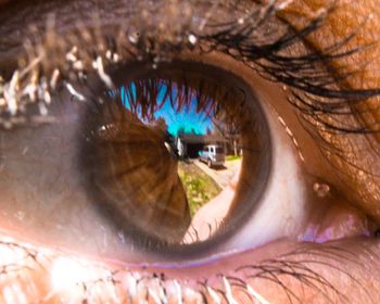 Close-up of human eye
