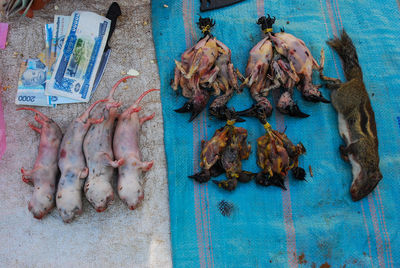 High angle view of dead animals for sale at market stall