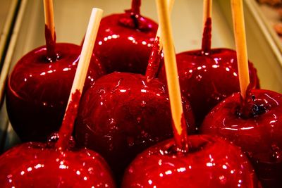 Close-up of christmas ornaments