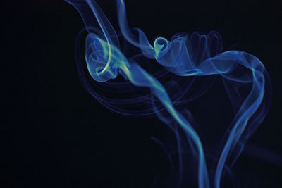 Close-up of jellyfish against black background