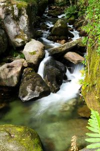 Stream flowing through rocks in forest