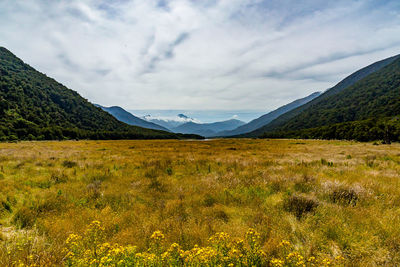 Scenic view of landscape against sky