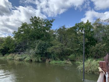 Trees by lake against sky