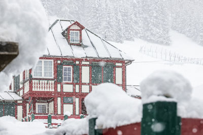 Under a heavy snowfall. walk in the ancient village of sappada. friuli