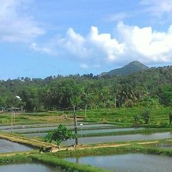Scenic view of lake against sky
