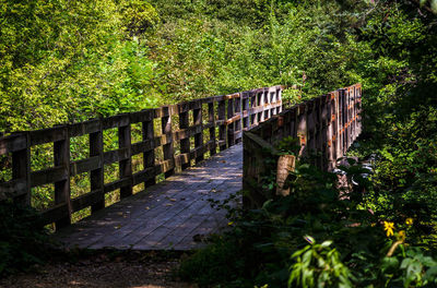 Wooden footpath in park