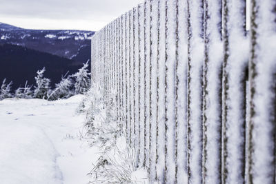 Close-up of snow on mountain against sky