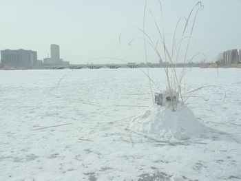 Frozen sea by buildings against sky