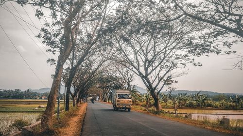 Road amidst trees in city against sky