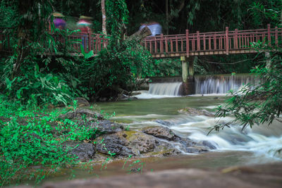 Footbridge over river against trees