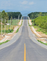 Empty road along trees and plants