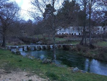 Scenic view of river by trees against sky