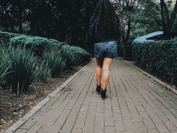 Rear view of woman walking on footpath amidst trees