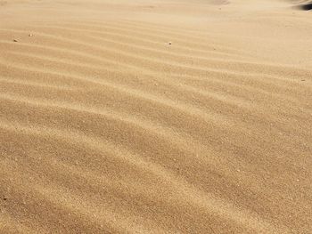 Full frame shot of sand dune