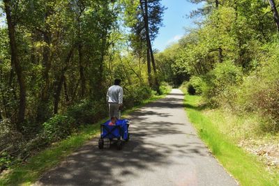 Rear view of man pulling baby girl in cart while walking on road amidst trees