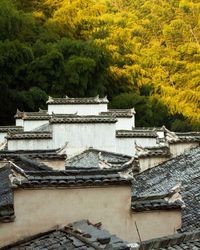 Built structure with trees in background