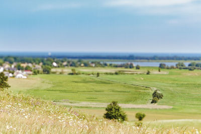 Scenic view of field against sky
