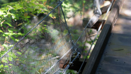 Close-up of spider web on metal fence