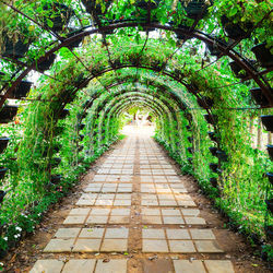 Footpath in a park