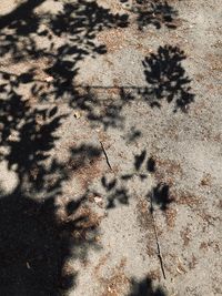 High angle view of shadow on sand