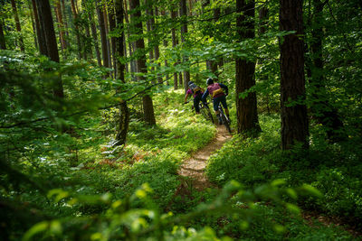 A young woman and a young man riding their mountain bikes on a singletrail near klagenfurt, austria.