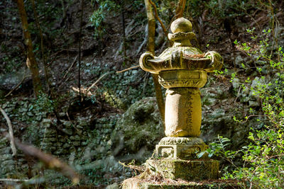 View of cross in forest