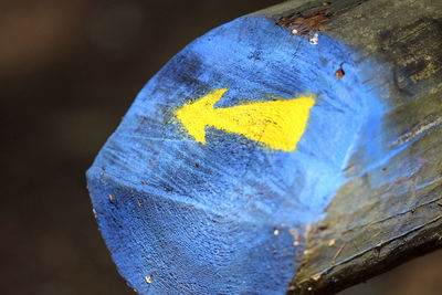 Close-up of yellow butterfly on wood