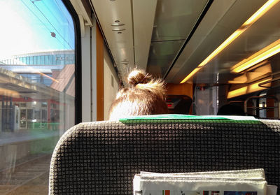 Close-up of man bun in train