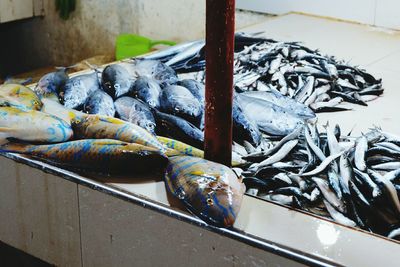 High angle view of fish on table for sale