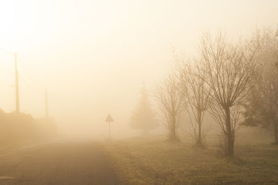 Trees on field against sky during foggy weather