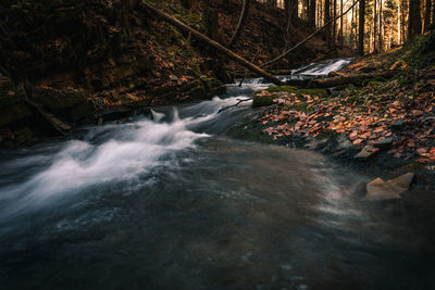 Scenic view of waterfall in forest