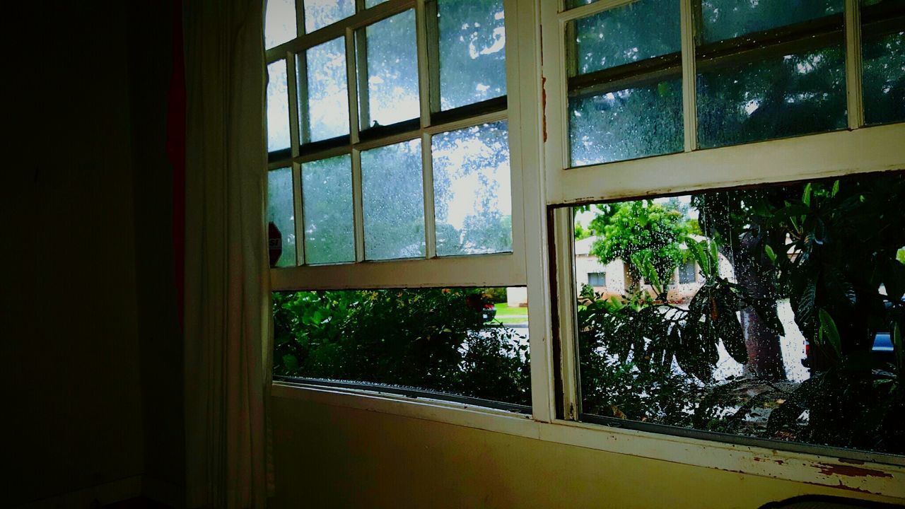 VIEW OF WINDOW