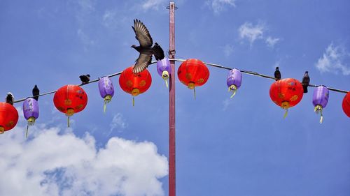 Low angle view of lanterns against blue sky