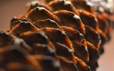 Close-up of meat on barbecue