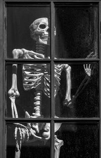 Halloween skeleton in window