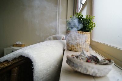 Close-up of potted plant on table at home